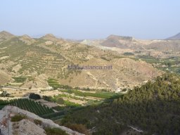 Yacimiento  Sisaya 2007